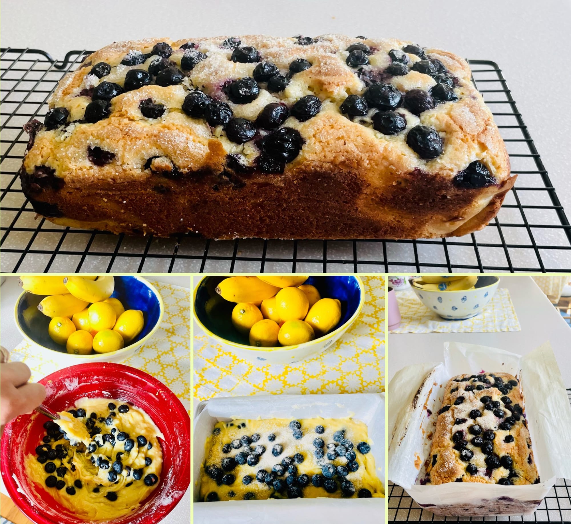 🍴Marvelous Monday Recipe          Lemon Blueberry Yogurt Quick Bread