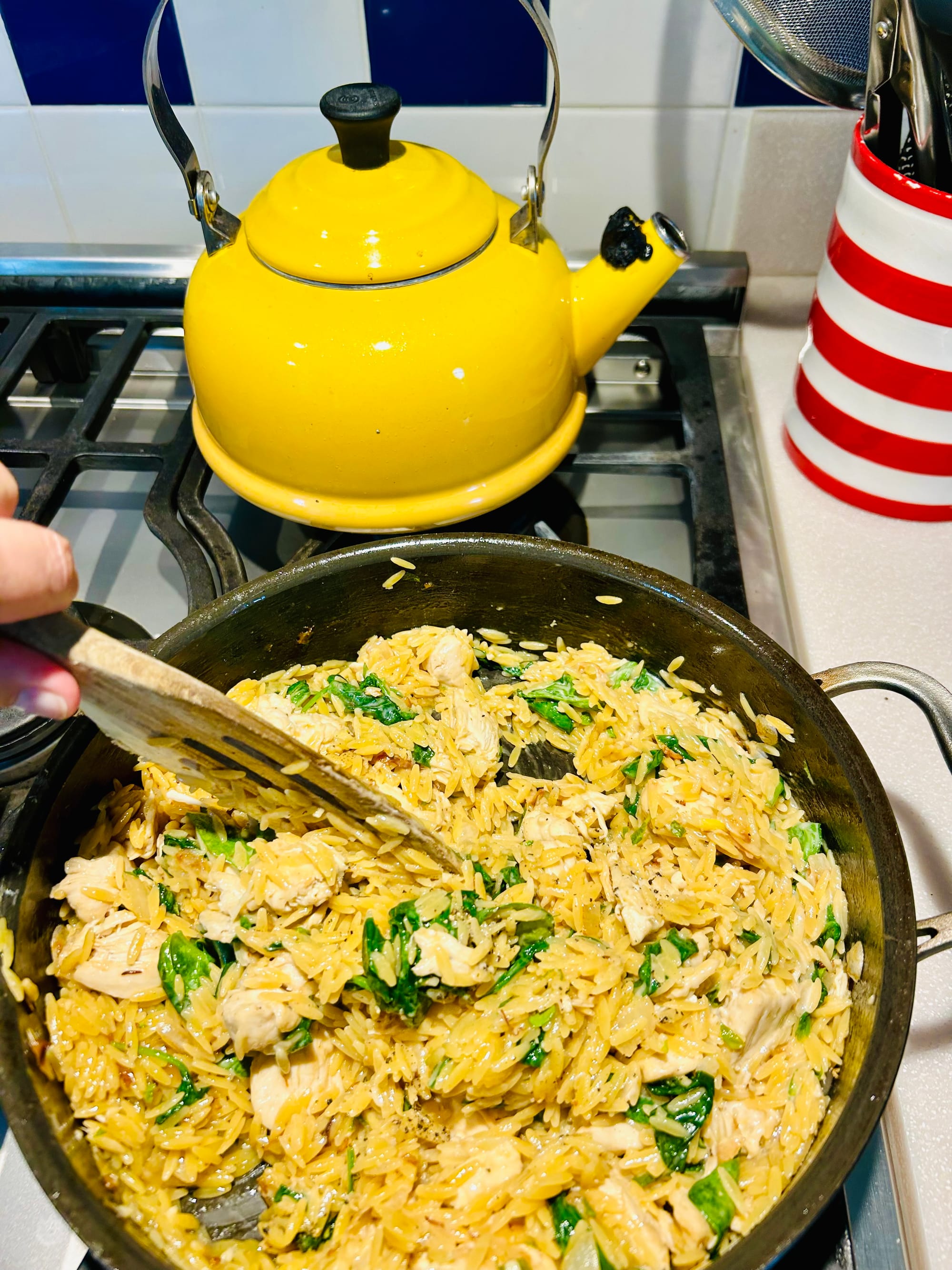 Chicken, Orzo and Spinach Casserole 🐓